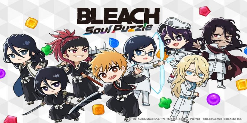 Bleach Soul Puzzle: Anime