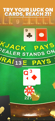 Mega Blackjack 3D Casino Screenshot 3