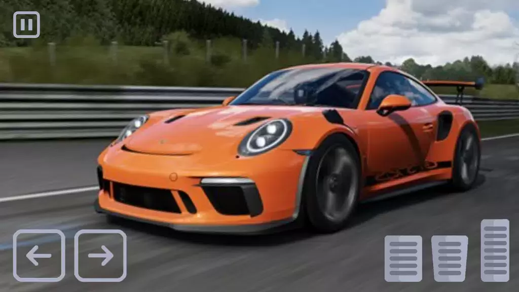 Racing Porsche Carrera 911 GT3 Zrzut ekranu 0