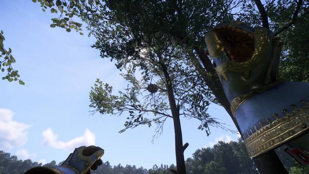 Melemparkan batu di sarang burung di Kerajaan Come Deliverance 2.