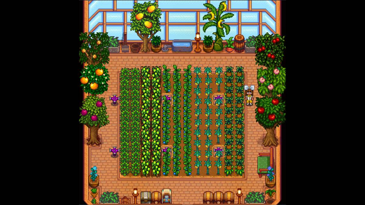 Năng lực nhà kính ở Thung lũng Stardew: Nó có thể giữ bao nhiêu cây?