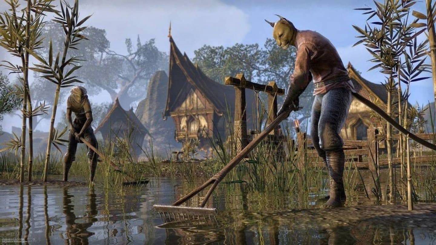 Gamer membelanjakan $ 100,000 untuk kemasukan Elder Scrolls VI