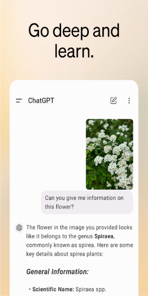 ChatGPT in Action