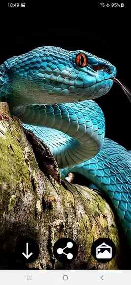 Snake Wallpapers স্ক্রিনশট 0