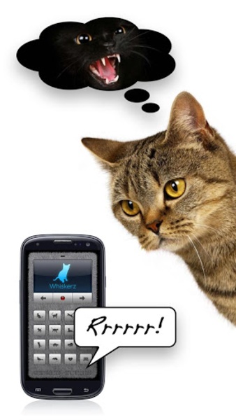 Human-to-Cat Translator Screenshot 2