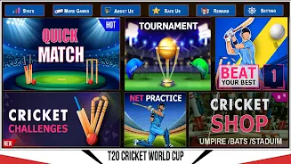 Indian Cricket Championship Captura de pantalla 3