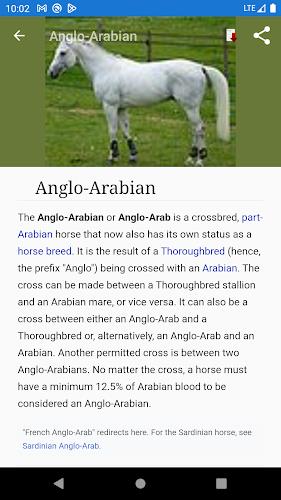 Horse breeds - Photos Screenshot 1