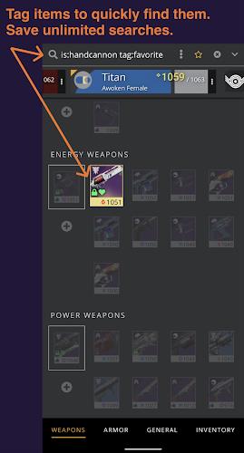 Destiny Item Manager Ảnh chụp màn hình 1