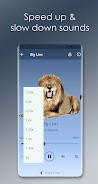 Lion Sounds Screenshot 3