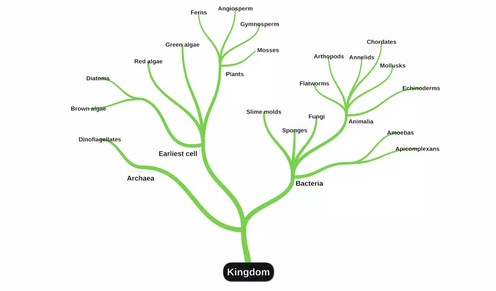 miMind - Easy Mind Mapping Tangkapan skrin 1