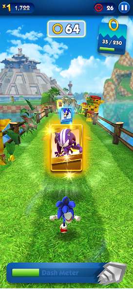 Sonic Dash - Endless Running Mod Screenshot 3