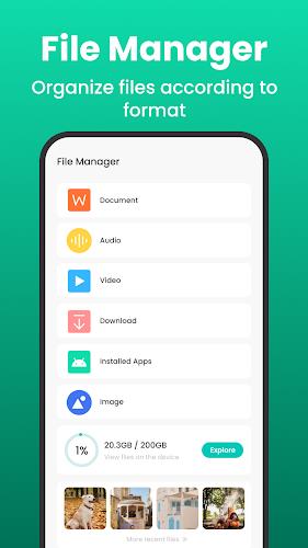 Wise Sweep Master-File Manager Screenshot 0