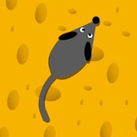 Cat Games For Cats: App For Cats