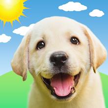 Weather Puppy - App & Widget