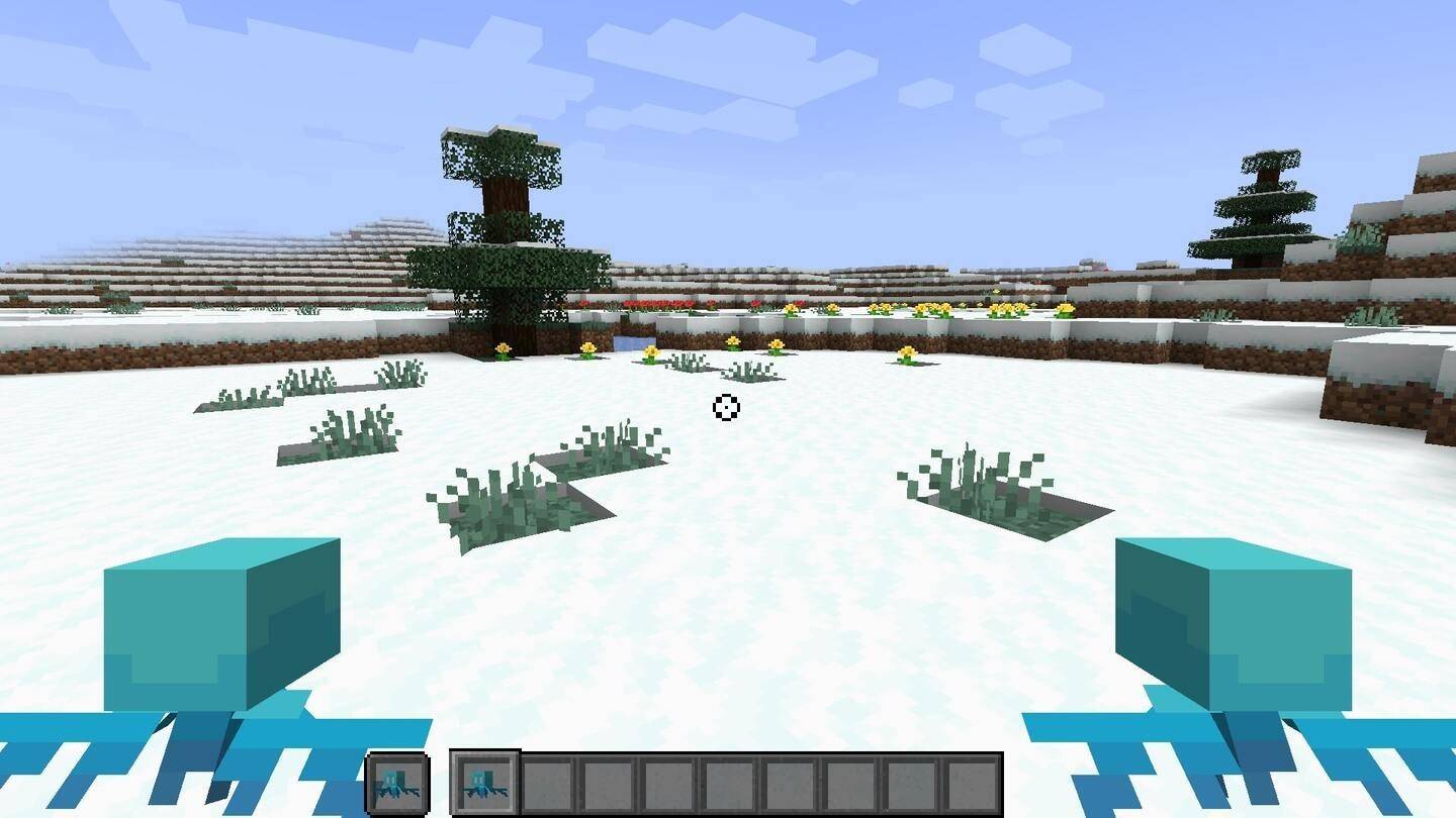 graines de biome de neige minecraft