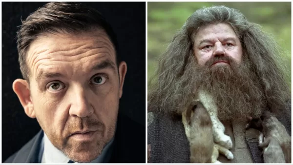 Nick Frost cast as Hagrid