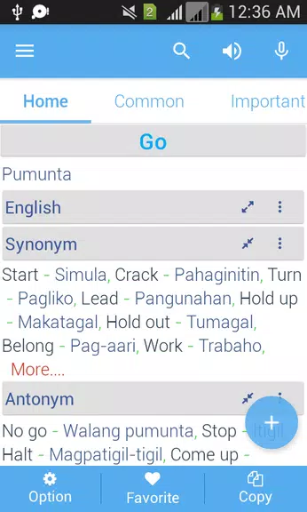 Filipino Dictionary Multifunct Captura de tela 2