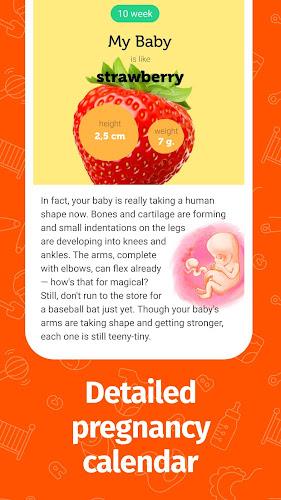 Pregnancy App and Baby Tracker 스크린샷 2