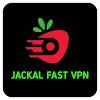 JACKAL FAST VPN