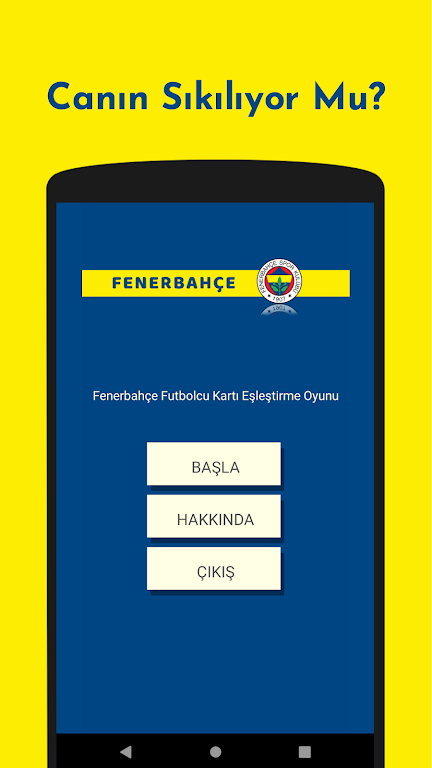 Fenerbahçe Futbolcu Kart Eşleştirme Oyunu Screenshot 0