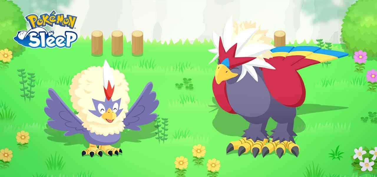 Будьте готовы к rufflet and Braviary в мечтательном приключении Pokémon Sleep Sleep