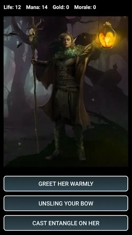 Dungeons and Decisions RPG Tangkapan skrin 0