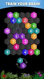 Merge Hexa - Number Puzzle Screenshot 1