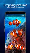 Underwater Wallpapers 4K Capture d'écran 3