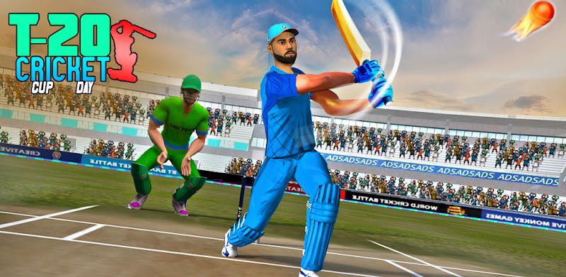 World Cricket Match Game Screenshot 2