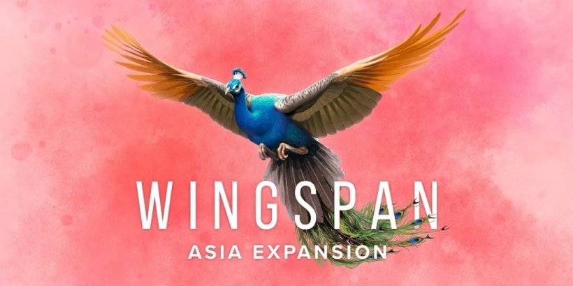 Wingspan Asia Expansion Launches This Summer