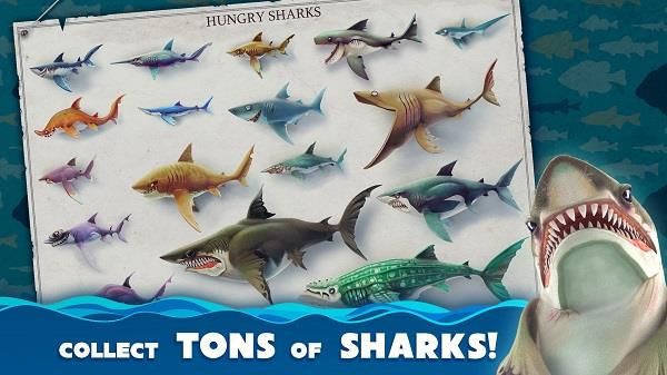 Hungry Shark World ภาพหน้าจอ 0