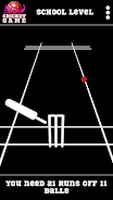 Blind Cricket Screenshot 2