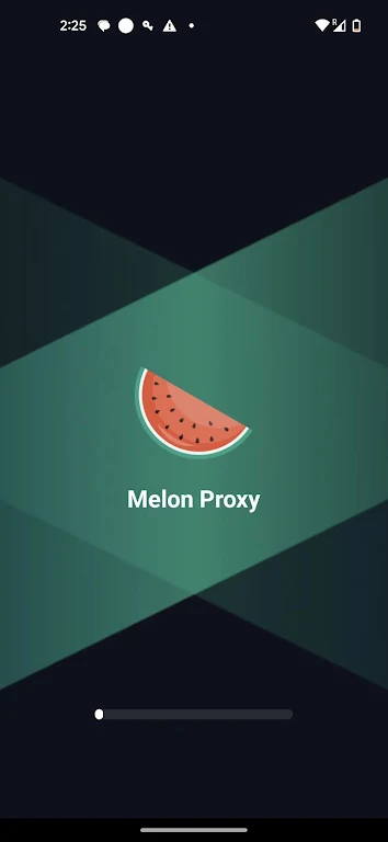 Melon Proxy Скриншот 0