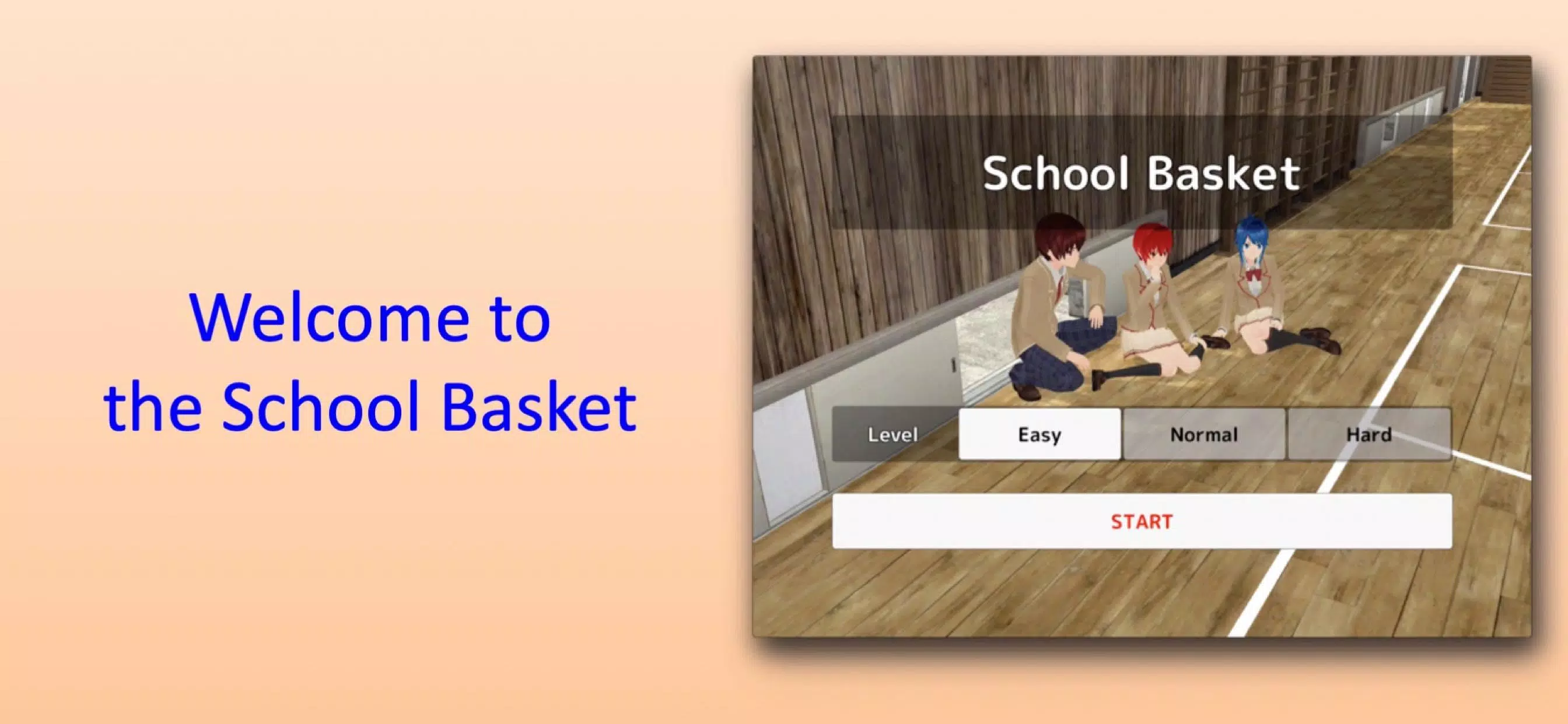 School Basket Capture d'écran 0