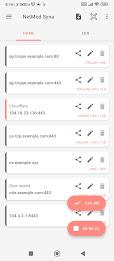 NetMod VPN Client (V2Ray/SSH) Captura de pantalla 0