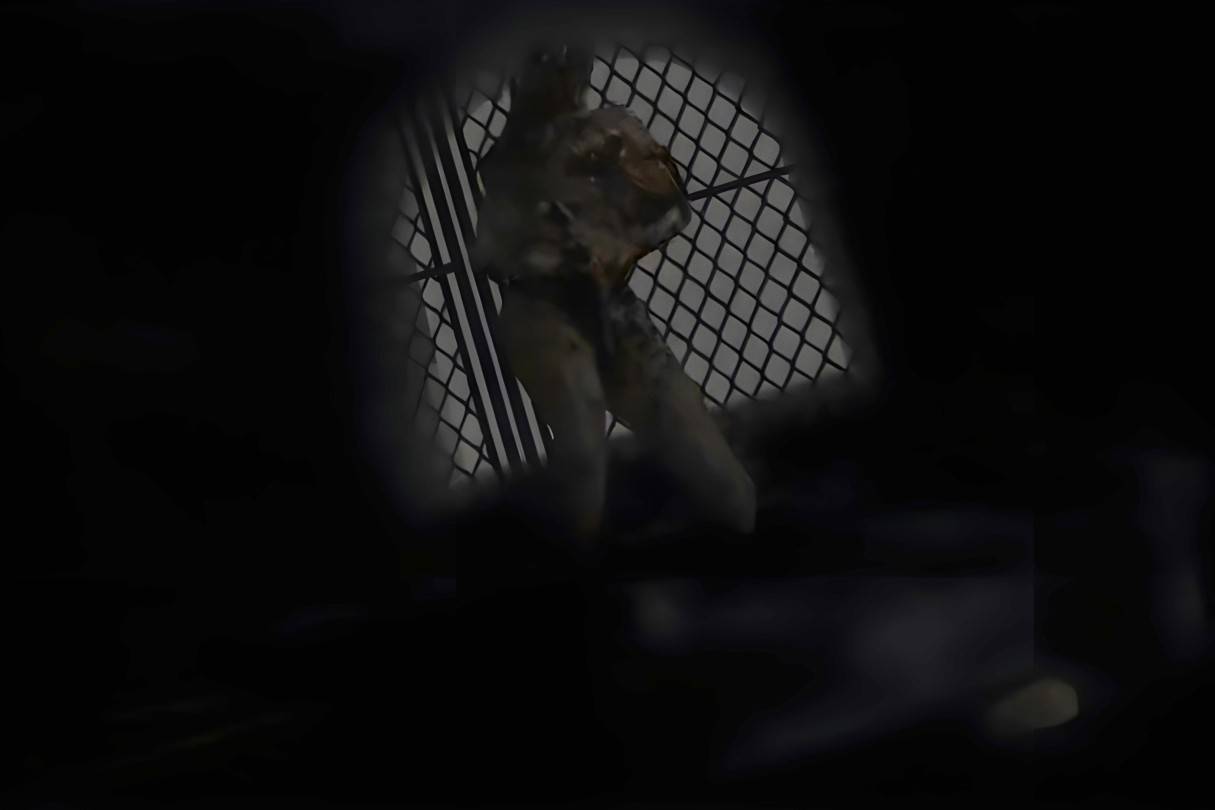 Lying Figure from Silent Hill