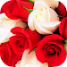 Roses Stickers for WhatsApp