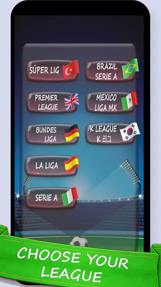 Football Game : Super League Screenshot 0