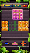 Block Puzzle Jewel Classic Capture d'écran 3