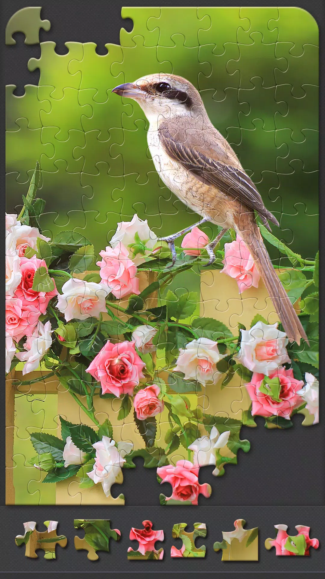 Jigsaw Puzzles for Adults Zrzut ekranu 2