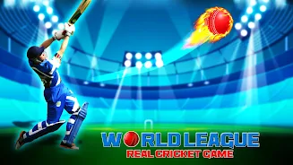 World Real IPL Cricket Games Tangkapan skrin 2