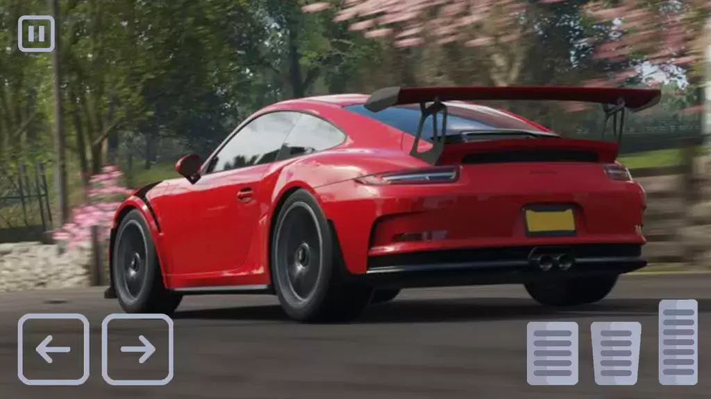 Racing Porsche Carrera 911 GT3 स्क्रीनशॉट 3