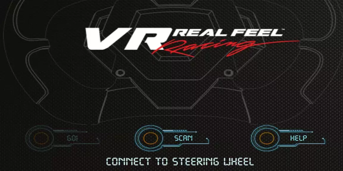 VR Real Feel Racing Schermafbeelding 0