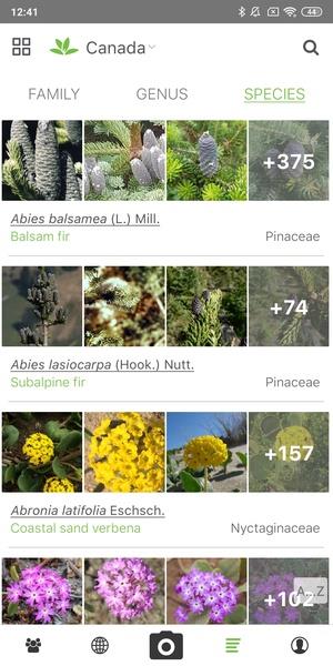 PlantNet Plant Identification Screenshot 3