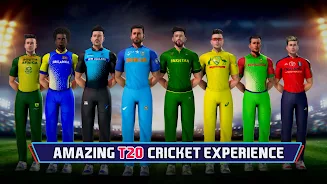 Indian Cricket Championship Captura de pantalla 2