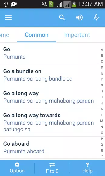 Filipino Dictionary Multifunct Captura de tela 3