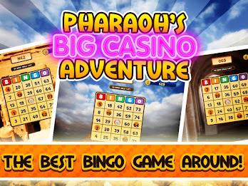 Big Win Casino Bingo Jackpot M Screenshot 3