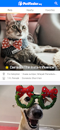 PetFinder.my ภาพหน้าจอ 0