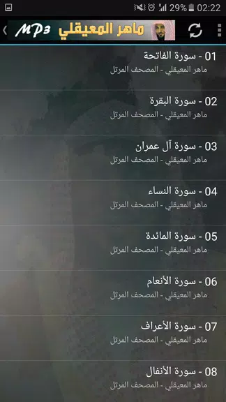 ماهر المعيقلي القران الكريم Скриншот 2