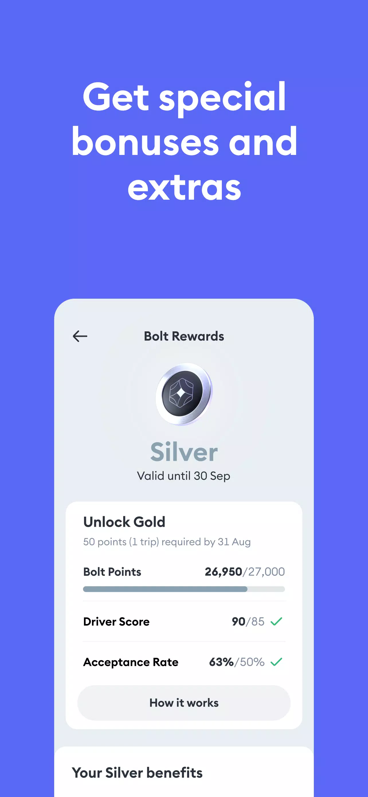 Bolt Driver: Drive & Earn Screenshot 1